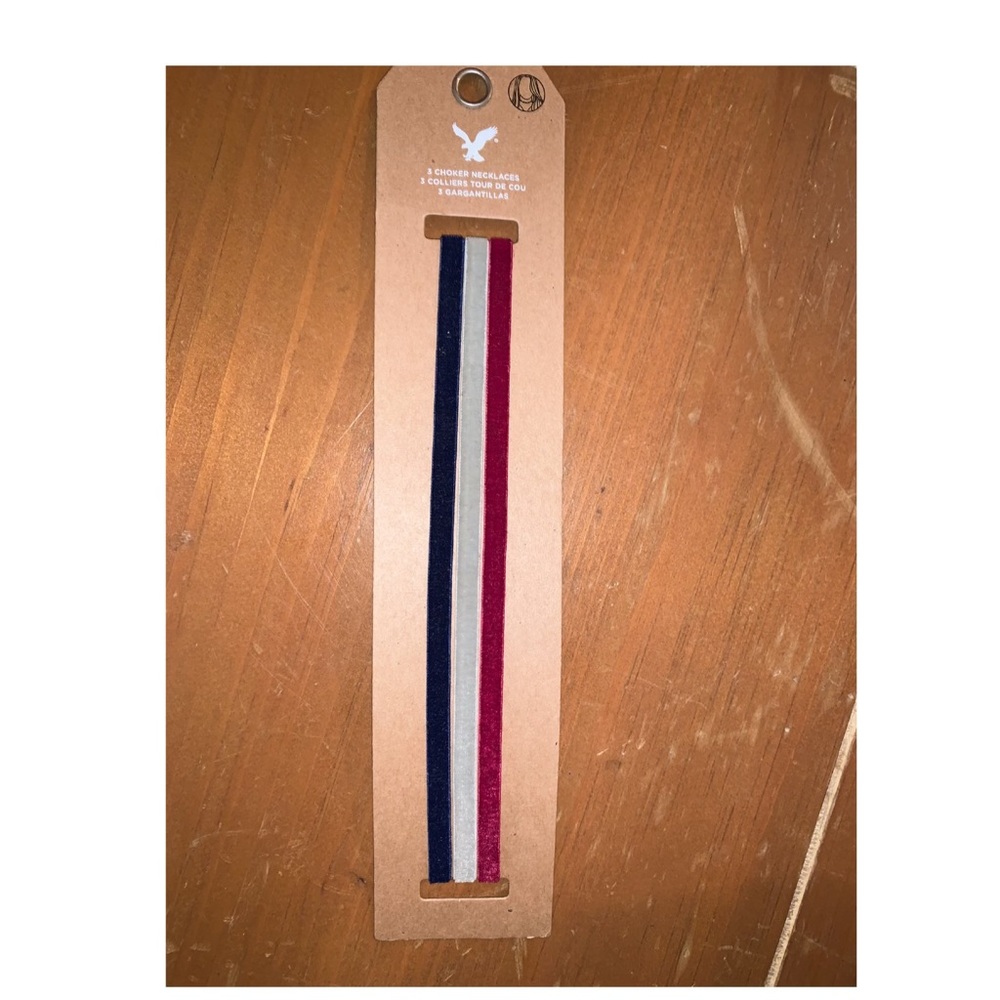 ❗️BRAND NEW❗️American Eagle Chocker necklace set